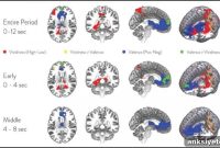 How Brain Networks Power Imagination
