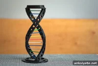 64 Genomic Regions Linked to Bipolar Disorder Risk