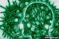 New Study Maps Gene Changes Behind Brain and Cognitive Decline