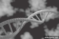 New Study Links Autism Genes to Patient IQ