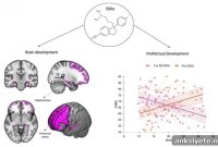 Preserving Cognitive Abilities in People at Risk for Psychosis