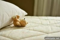 Autism Sleep Disruption: Glial Cells, BBB and Serotonin