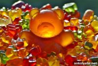 Excess Sugar Raises Long-Term Health Risks