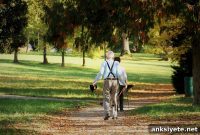 Biomarkers Show Aerobic Exercise Boosts Memory in Older Adults