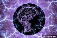 Altered Brain Inflammation Linked to Opioid Use Disorder