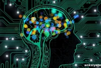 Tau Protein Deposits Linked to Depression in Middle-Aged Adults