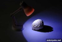 Why Multiple Sclerosis Often Begins Years Before Diagnosis