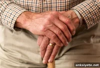 Inflammatory Proteins Linked to Slower Cognitive Decline