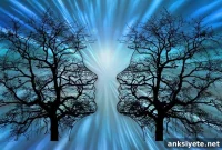 New Drug Eases Daydreaming, Fatigue and Brain Fog in Adult ADHD