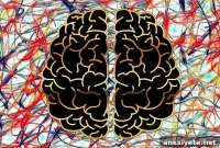 Nanomaterial Shape Impacts Blood-Brain Barrier Penetration