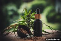 New Study Finds High Potency Cannabis May Impair Memory