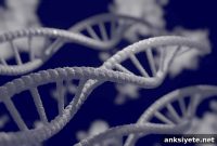 Public Attitudes Toward Genome-Edited Food