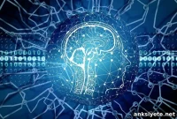 Some Severe Brain Injury Patients Show Better Long-Term Outcomes