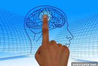 ALS Drug May Slow Alzheimer’s Progression, Study Finds