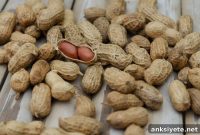 Frequent Peanut Consumption Linked to Increased Cancer Spread