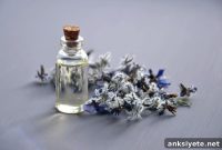 Essential Oils: Benefits for Mood and Well-Being
