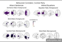 How the Brain Processes Math and Spoken Language Simultaneously