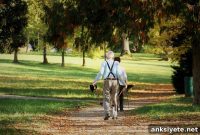 How Exercise Alters Brain Iron in Alzheimer’s Disease