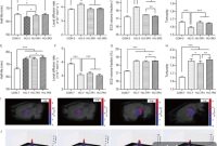 Early Hippocampal Extracellular Space Changes in Microgravity