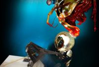 Tiny Robots Recreate Mantis Shrimp’s Superfast Punch