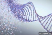 Gene Therapy Breakthrough Could Prevent Cancer and Dementia
