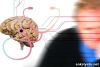 How Processed Foods Impair Memory in the Aging Brain