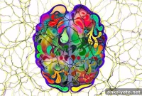 How Brain Cells Communicate: Neurons, Synapses and Signals