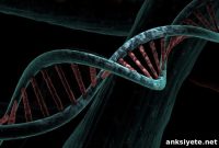 Study Finds Gait Patterns Linked to Genetic Disorders