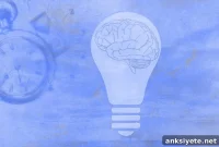 How Bipolar Disorder Changes the Brain Over Time