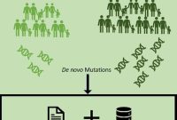 Study Finds New Genes Linking Autism and Heart Defects