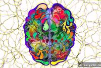How Expectations and Dopamine Shape SSRI Treatment Outcomes