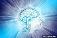 New ALS Research Reveals Promising Treatment Strategy