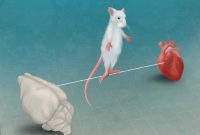 How Body Signals Help the Brain Regulate Fear