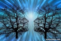 Disrupted Circadian Rhythm Linked to Inflammatory Diseases