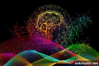 How the Brain Distinguishes Left from Right and Boundaries