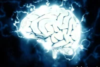 Sleep Loss Boosts Brain Serotonin 2A Receptor Activity