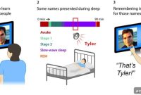 How Sleep Boosts Memory for Faces and Names