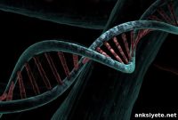 How Brain Gene Activity Drives Sex-Specific Behavior in Mice