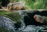 Measuring Flow State with Scales and Questionnaires