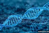 Deep Learning Reveals Genetic Causes of Mental Disorders in Understudied Populations