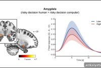 Loneliness and Social Anxiety Arise from Distinct Brain Circuits