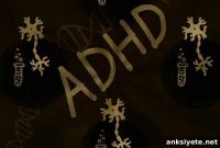 MRI Finds Minimal Brain Differences in Children with ADHD