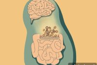 Preclinical Study: Gut Fungi Modulate Neuroimmunity and Behavior