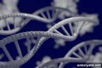 New Rare Genetic Mutation Discovery Offers Answers for Families