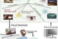 How Scientists Reconstruct Mental Images From Brain Activity