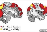 Study: Cortisol Lowers Altruism in Highly Empathetic People