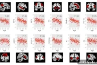 Why Older Adults Become More Positive When Distressed