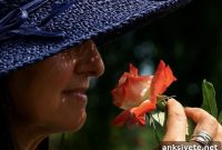 Why the Brain Processes Smell Like a Painting and a Symphony