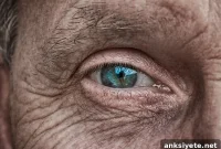 Can Ultrasound Restore Vision in People Who Are Blind?