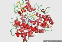 Penn Vet Finds New Therapeutic Target for Parkinson’s Disease